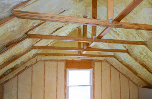Best Commercial Insulation in Walnut Park, CA