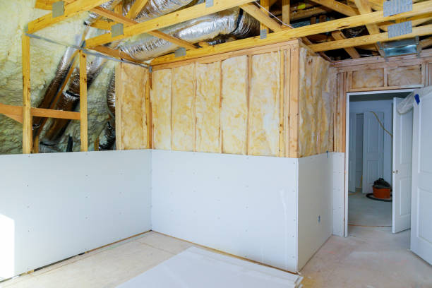 Best Insulation Maintenance and Repair in Walnut Park, CA