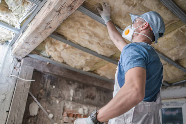Best Residential Insulation in Walnut Park, CA