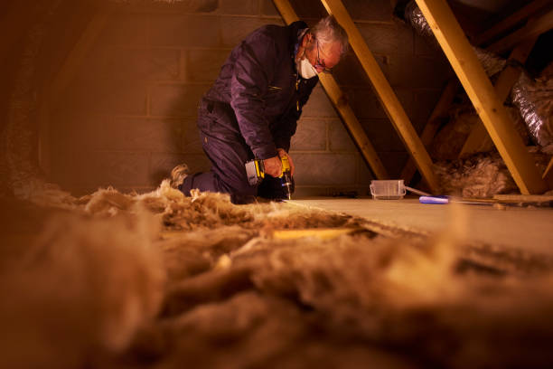 Best Types of Insulation in Walnut Park, CA